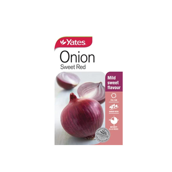 Onion Sweet Red