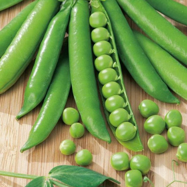 Pea Green Feast Vegetable Punnet