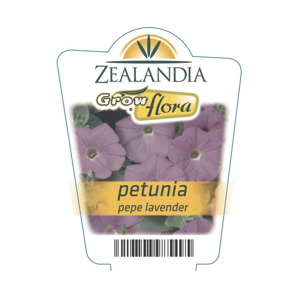 Petunia Pepe Lavender Flower Punnet