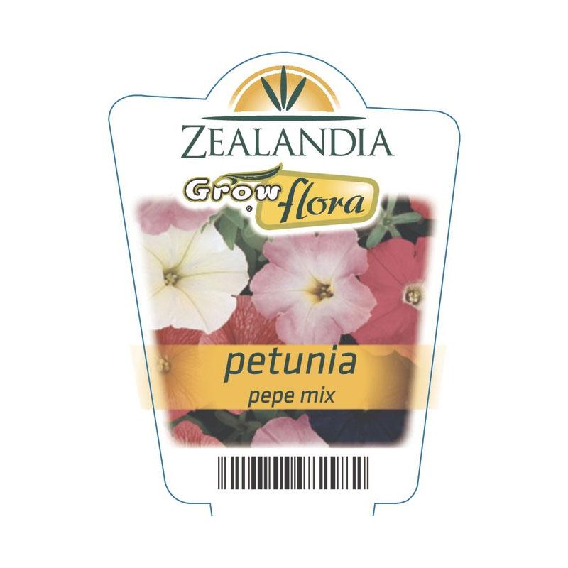 Petunia Pepe Mix Flower Punnet