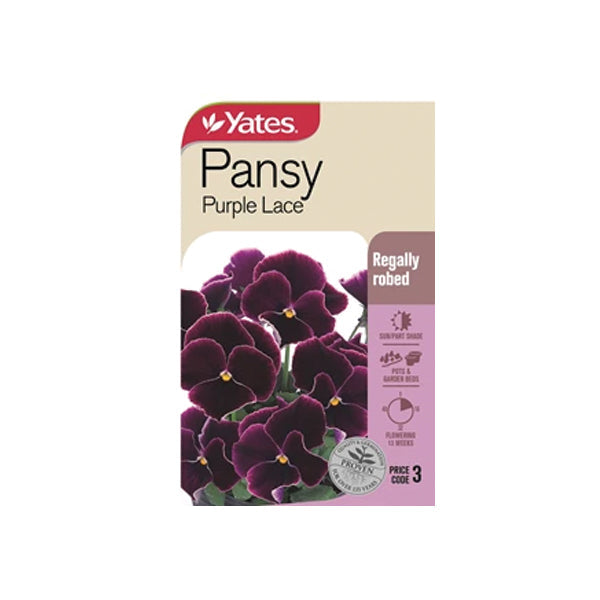 Pansy Purple Lace