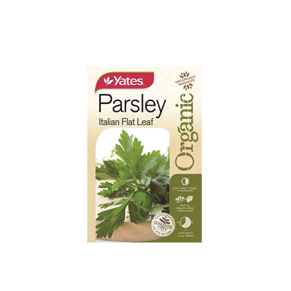 Parsley Italian Flat Leaf Organic