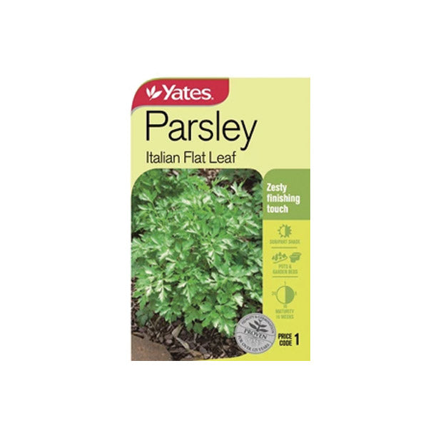 Parsley Italian Flat Leaf