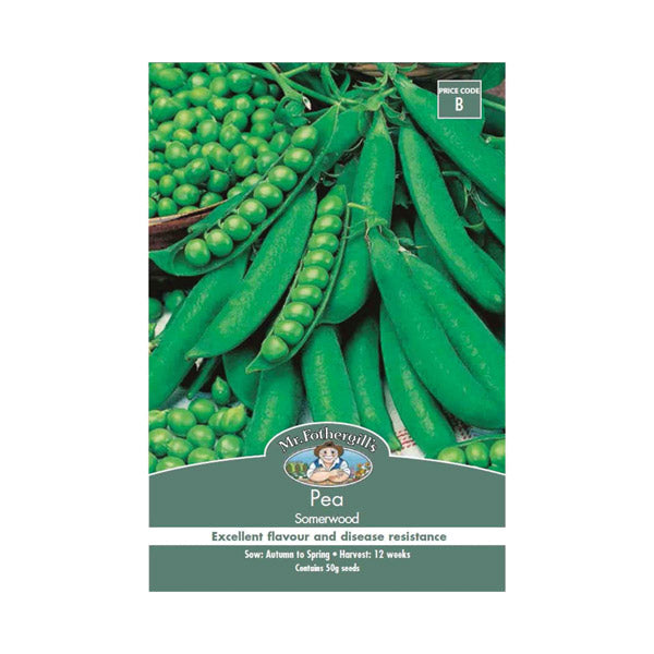 Pea Sommerwood Seed