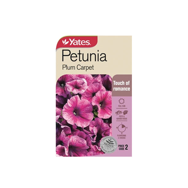 Petunia Plum Carpet