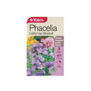 Phacelia Californian Bluebell