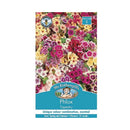 Phlox Tapestry Seed