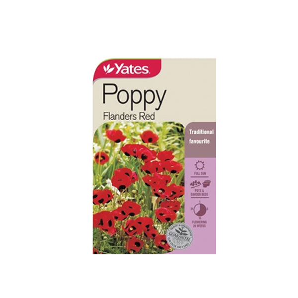 Poppy Flanders Red
