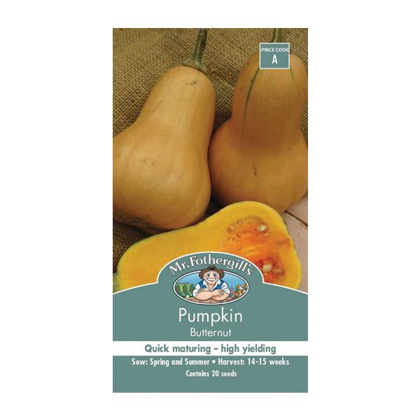 Pumpkin Butternut Seed