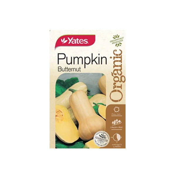 Pumpkin Butternut Organic