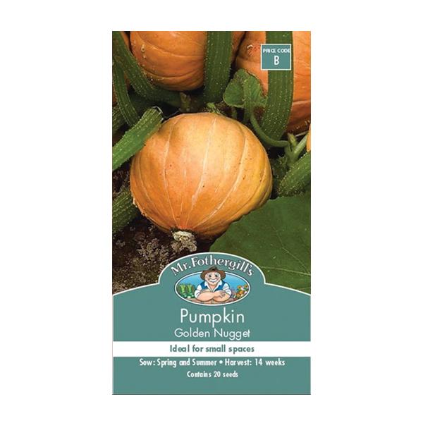 Pumpkin Golden Nugget Seed