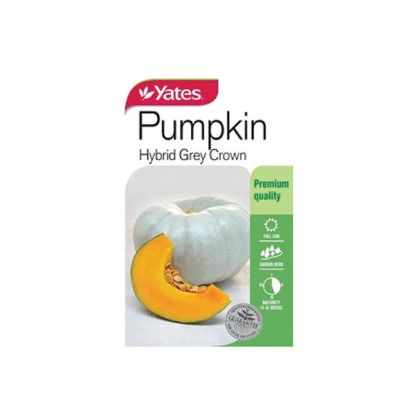 Pumpkin Hybrid Grey Crown