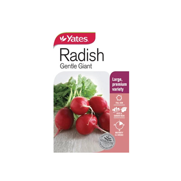 Radish Gentle Giant
