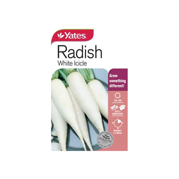 Radish White Icicle