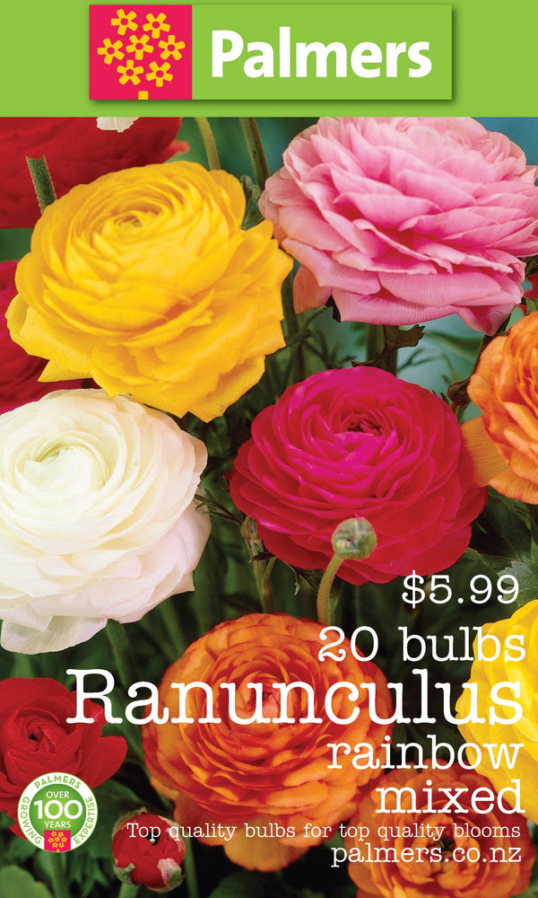 Palmers Rainbow Mixed Ranunculus Bulbs - PK20