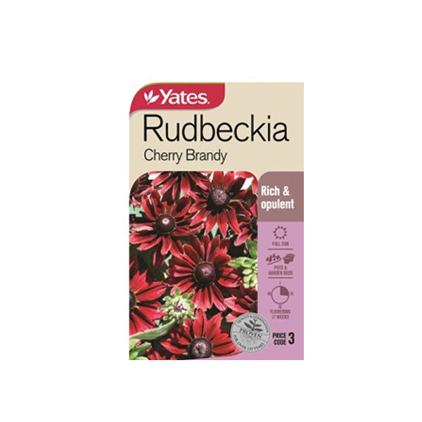 Rudbeckia Cherry Brandy