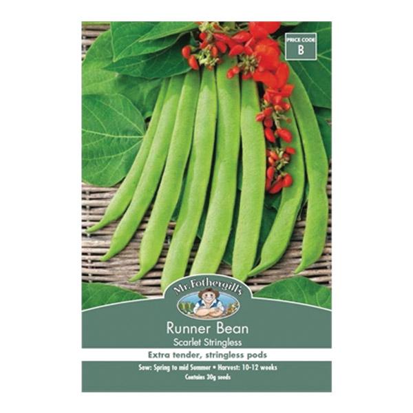 Runner Bean Scarlet Stringless Seed