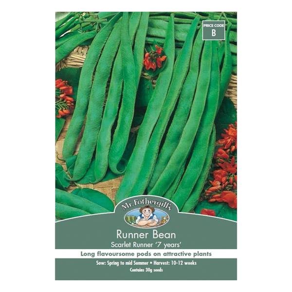 Runner Bean Scarlet Runner 7 years Seed