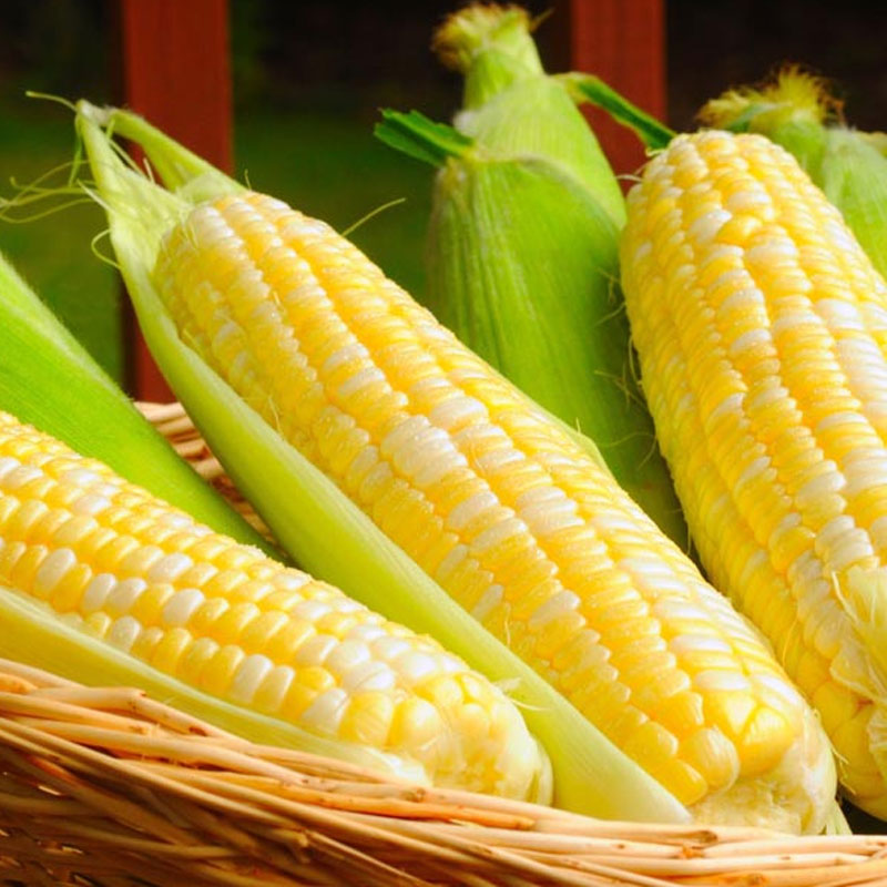 Sweet Corn Honey And Pearl Vegetable Punnet