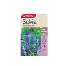Salvia Blue Bedder