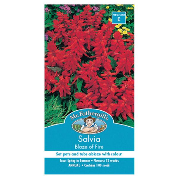 Salvia Blaze Of Fire Seed