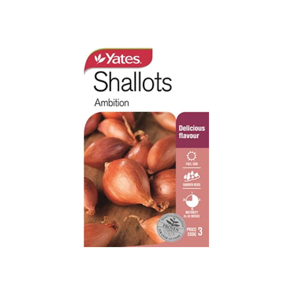 Shallots Ambition