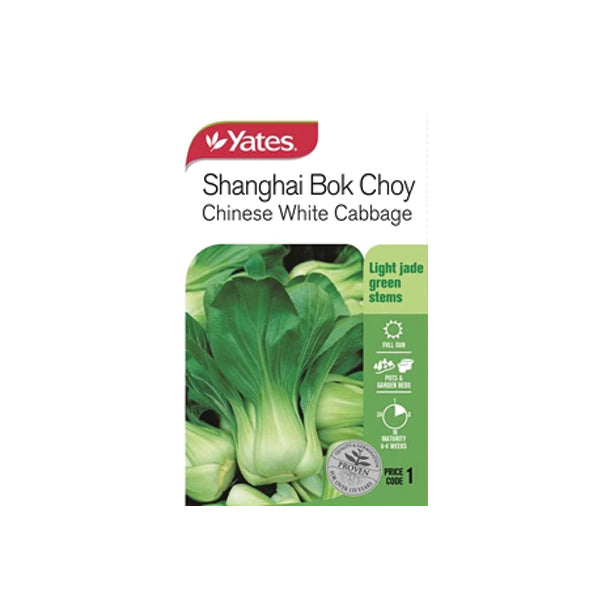 Shanghai Bok Choy