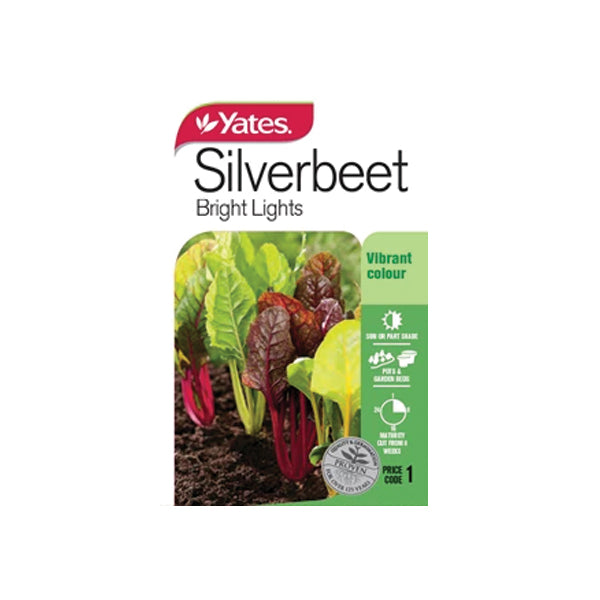 Silverbeet Bright Lights