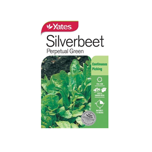 Silverbeet Perpetual Green