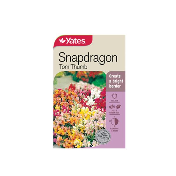 Snapdragon Tom Thumb