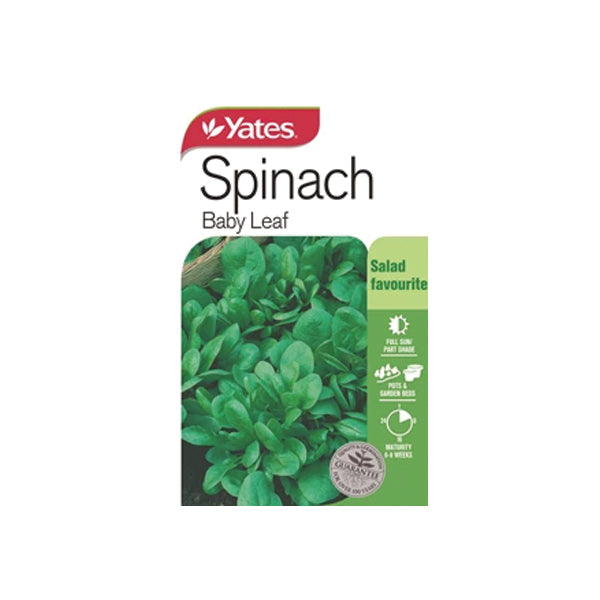 Spinach Baby Leaf