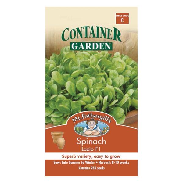 Spinach Lazio Seed