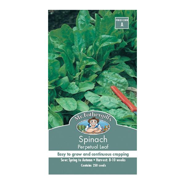 Spinach Perpetual Leaf Seed
