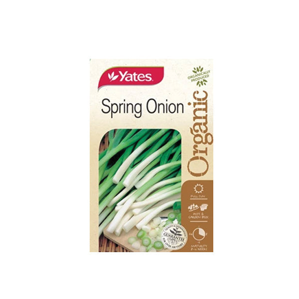 Spring Onion Organic