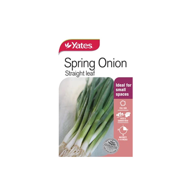 Spring Onion Straight Leaf