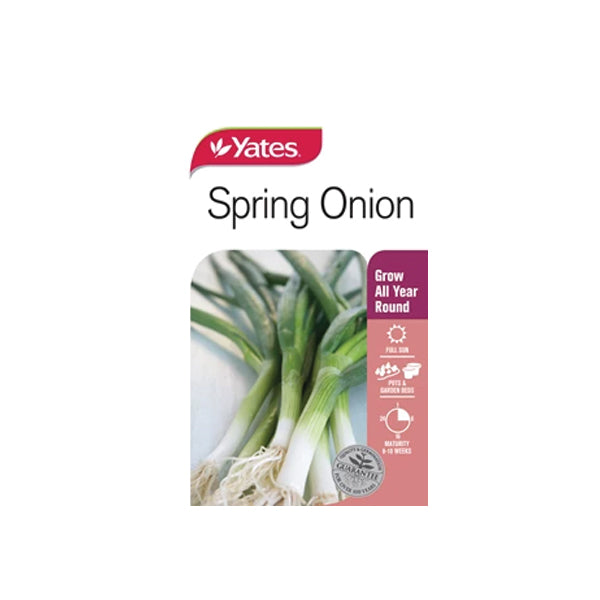 Spring Onion