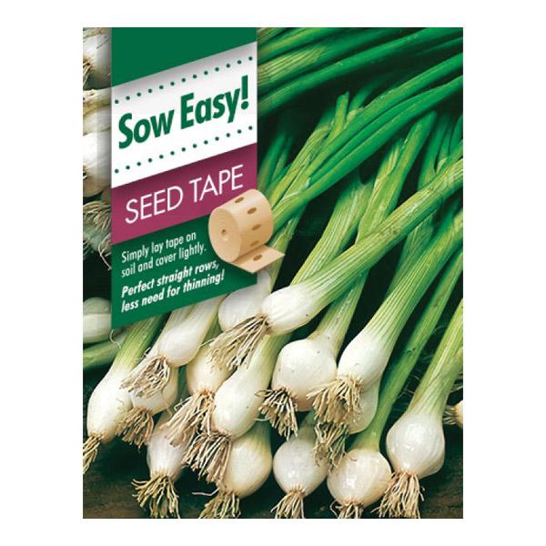Spring Onion All Year Seed Tape