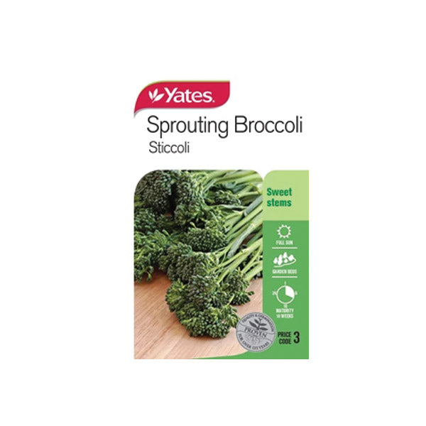 Broccoli Sprouting