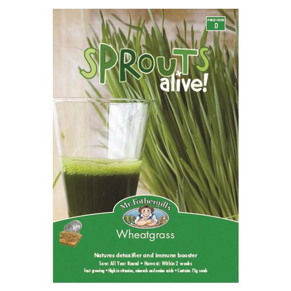Sprouts Alive Wheatgrass Seed