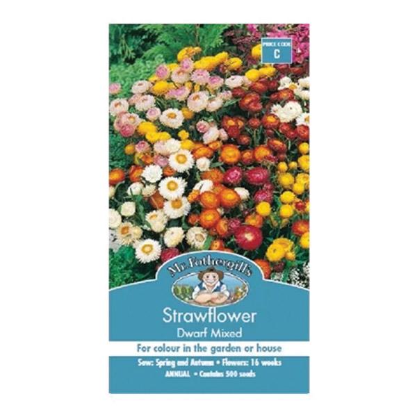 Strawflower Dwarf Mixed  Seed