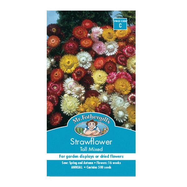 Strawflower Tall Mixed Seed