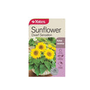 Sunflower Dwarf Sensation