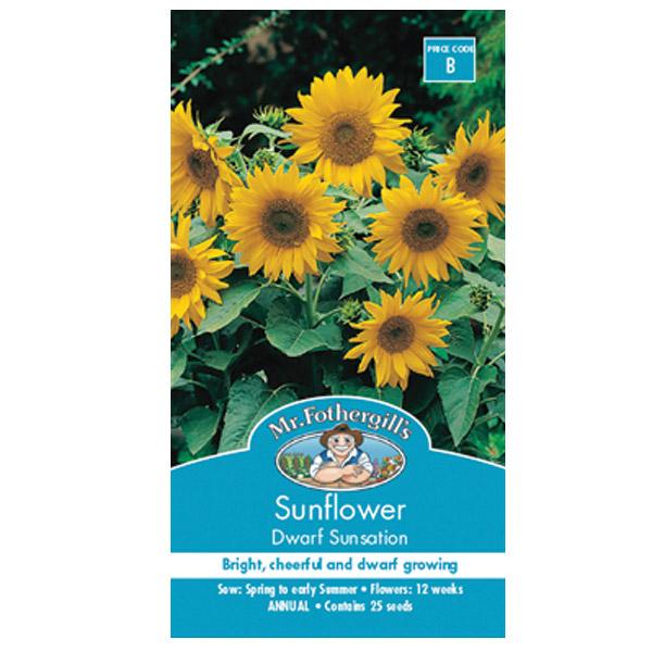 Sunflower Dwarf Sunsation Seed