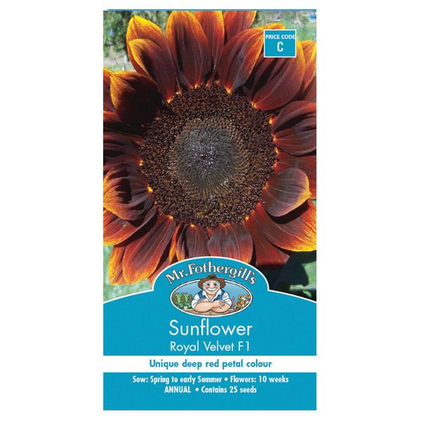Sunflower Royal Velvet Seed