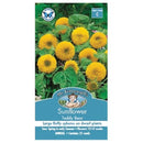 Sunflower Teddy Bear Seed