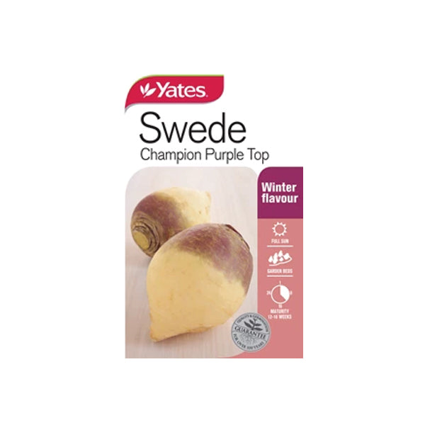 Swede Champion Purple Top