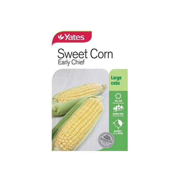 Sweet Corn Early Chief