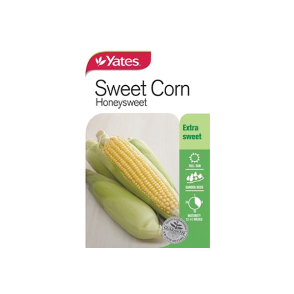 Sweet Corn Honeysweet