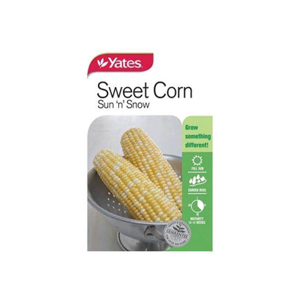 Sweet Corn Sun'n'Snow