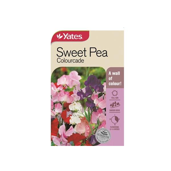 Sweet Pea Colourcade